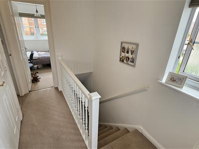 Picture 19
